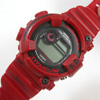 G-SHOCK DW8200/1294