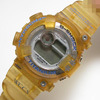 G-SHOCK DW8201WC/1294
