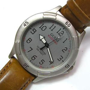 GUESS Waterpro 