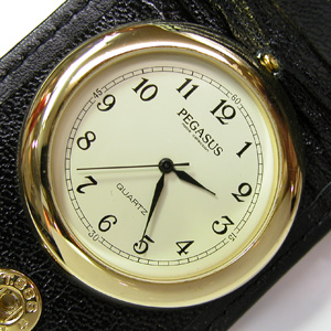 PEGASUS �y�K�T�X����