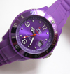 ICE WATCH
