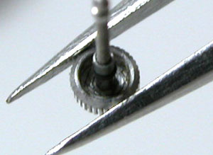 agnis-b/Y151-0G10(�A�j�G�X�E�x�[�j��������