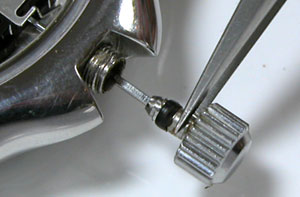 �s�s��SCUBA8F35-0030�p�[�y�`���A������