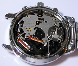 agnisb-V654-6100�A�j�G�X�E�x�[���[�u�����g