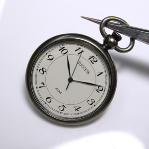 SUCCESS �������v V701-0A30 